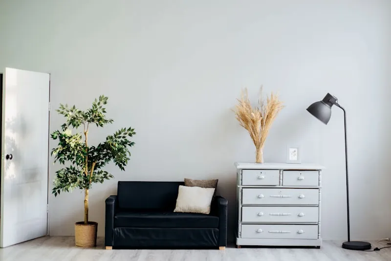 Modern living room with a black sofa, tall plant, and decorative lamp